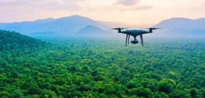 how do drones affect the environment and wildlife